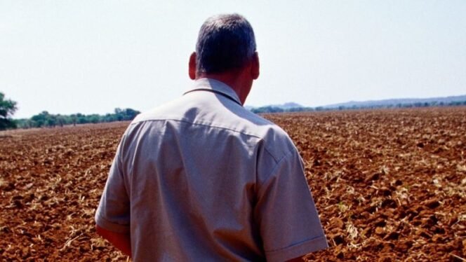 
					Agreement or Disagreement? Zimbabwe Remains Split Concerning Land Issues, 25 Years Post The Eviction of White Farmers