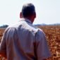 Agreement or Disagreement? Zimbabwe Remains Split Concerning Land Issues, 25 Years Post The Eviction of White Farmers
