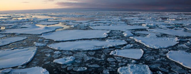 
					Climate Scientists Warn Of Accelerated Ice Loss In The Arctic Region