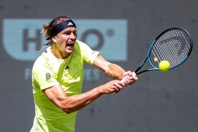 
					Zverev Advances in Halle After Assisting Injured Fan During Match